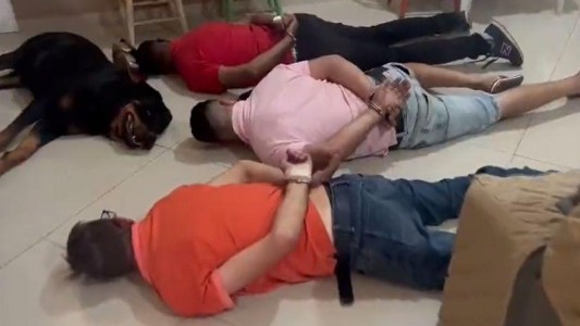 Incautaron más de una tonelada de marihuana y el perro guardián "se rindió" junto a los narcos