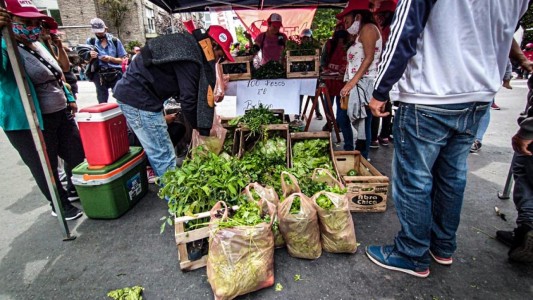"Feriazo" frente al Congreso para pedir el tratamiento de leyes agrícolas