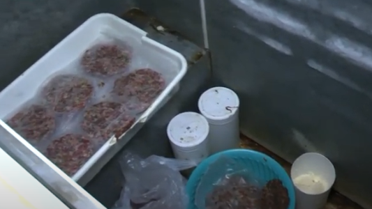 Desvalijaron un local gastronómico en barrio Jardín