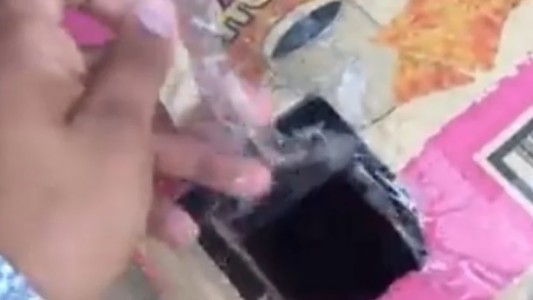 Detuvieron en la calle a un hombre que tenía dos monos titís adentro de una caja de galletitas