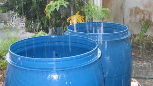 Aseguran que hasta el agua de lluvia está contaminada por sustancias químicas tóxicas