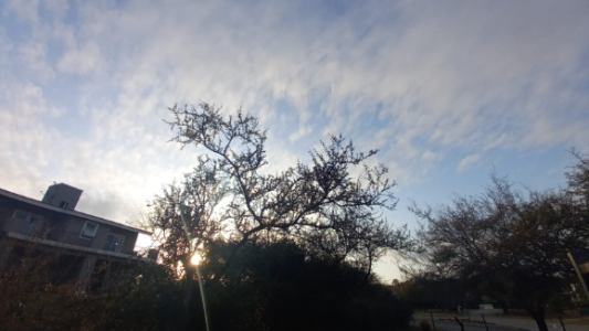 Buen tiempo, ascenso de temperatura, máxima de 21°