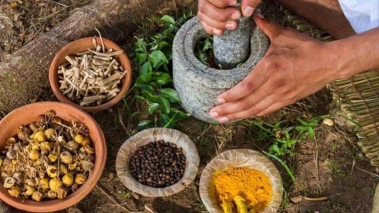 Misiones reconoció por ley a la medicina tradicional dentro del sistema público de salud