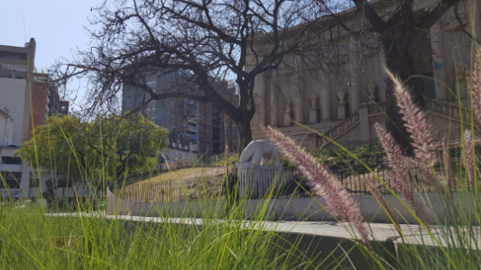 Buen tiempo, cálido, ascenso de temperatura, máxima de 25°