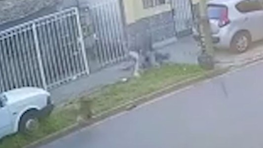 Los gritos del horror: un ladrón se abalanzó sobre una mujer para robarle - #REC