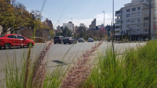 Buen tiempo, cálido, ascenso de temperatura, máxima de 20°