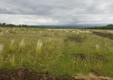 Valle de Calamuchita: imputados por estafas con terrenos