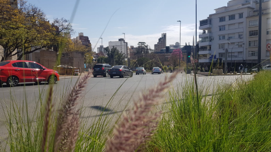 Tiempo cálido, seco, ascenso de temperatura, máxima de 29°