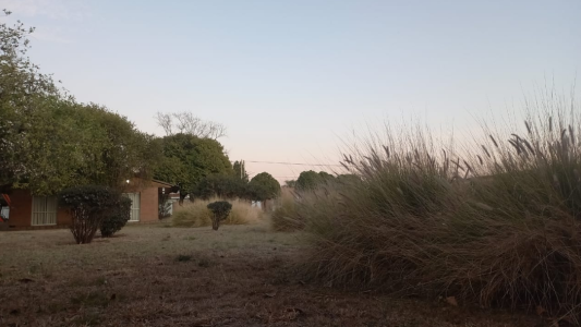 Jornada veraniega en Córdoba, se pronostica una máxima de 31°