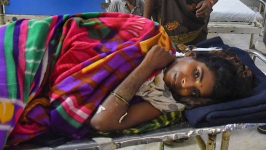 Mujer salvó a su bebé de 15 meses de las garras de un tigre: la internaron con pulmones perforados