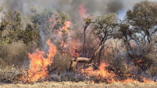 Incendios: activo un foco en Punilla y guardia de cenizas en el resto