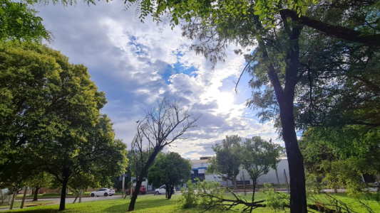 El tiempo en Córdoba: parcialmente nublado, con una máxima de 26 grados