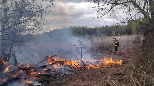 Incendios en las islas: Intendentes santafesinos preparan una protesta en el Obelisco