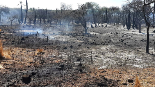 Continúa siendo extremo el riesgo de incendios en la provincia