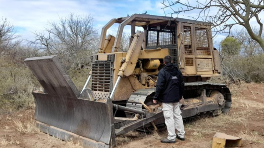 Frenaron un desmonte ilegal en Los Medanitos