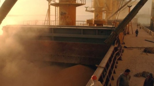 Dólar soja: la agroindustria ya liquidó divisas por casi US$ 34.000 millones en lo que va del año