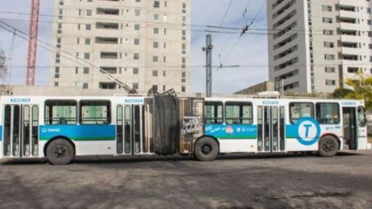 Córdoba: una chofer de trolebús discriminó a una pasajera trans y ahora deberá pagar $150 mil