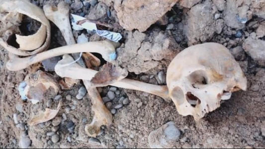 Estudiantes hallaron huesos humanos enterrados en una pensión de La Plata