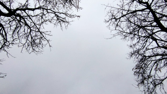 Nublado, probabilidad de lloviznas, aumento de temperatura, máxima de 22°