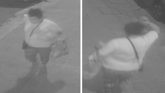 Vestida de médica, una mujer secuestró a un bebé en un hospital