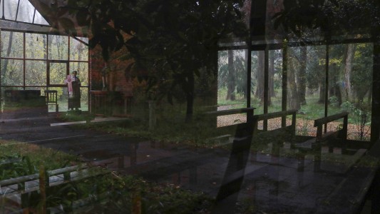 Una fotógrafa retrató los restos de la Fundación Felices los Niños como un "bosque abandonado"