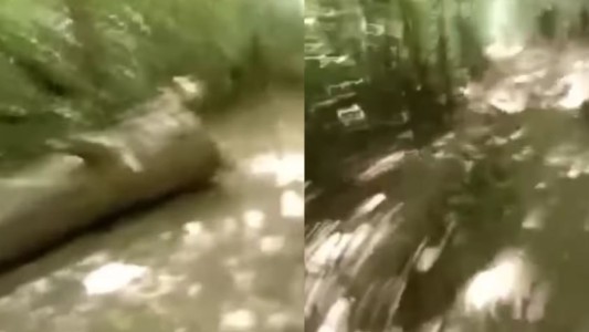 Una ciclista escapó de un robo y filmó los balazos con la cámara de su casco