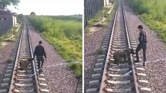 Video: maquinista logró frenar el tren para salvar a un perro que encadenaron a la vía