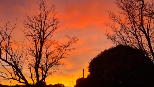 Cielo ligeramente nublado, descenso de temperatura, máxima de 20°