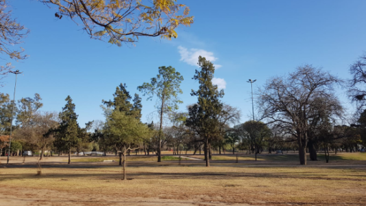 Buen tiempo, despejado, aumento de temperatura, máxima de 23°