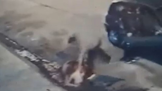 Agredió a su pareja en plena calle: la víctima tenía a su hijo encima y el hombre terminó linchado