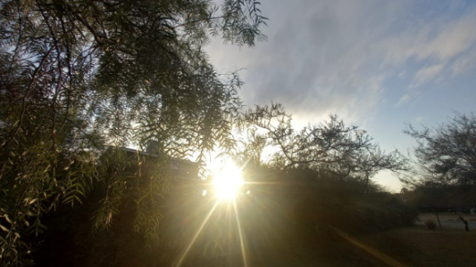 Cielo parcialmente nublado, ascenso de temperatura, máxima de 31°