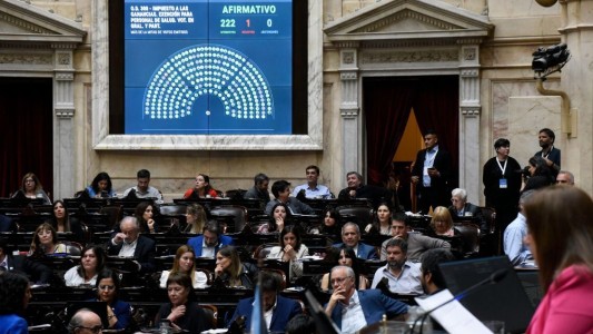 Diputados aprobó el Registro de Deudores Alimentarios y el alivio en Ganancias para los médicos