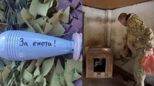 Guerra en Ucrania: proponen cambiar una estatua de Catalina la Grande por un mapache robado - #FlashChat