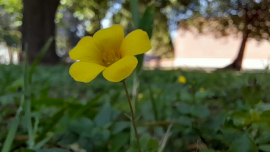 Tiempo despejado a algo nublado, poco cambio de temperatura, máxima de 37°