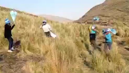 Pasión sin límites: la odisea de niños de Jujuy para ver a la Scaloneta - #FlashChat