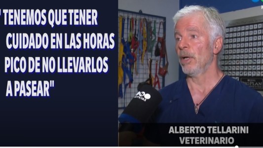 Verano: cómo evitar los golpes de calor en los animales