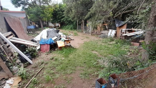 Su propio perro pitbull le arrancó el brazo