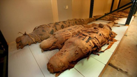 Hallan en Egipto una tumba con diez momias de cocodrilo con más de dos mil años enterradas