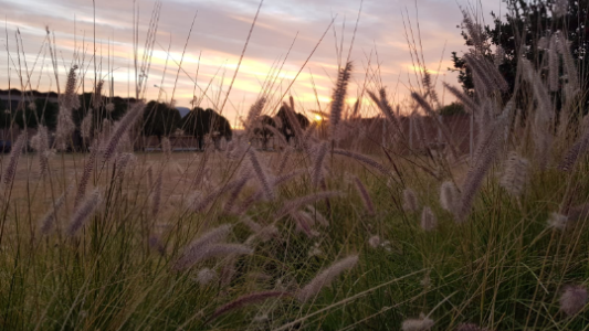 Cielo parcialmente nublado. Leve descenso de temperatura. Máxima de 30°