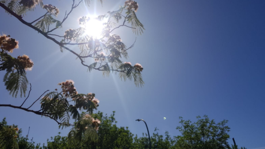 Comienza una semana con temperaturas elevadas. Para hoy se esperan de 35°