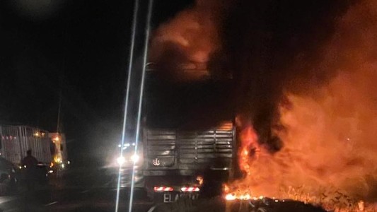 Se incendio un camión que trasladaba animales vacunos