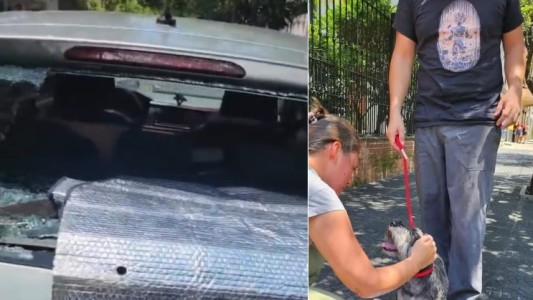 Con 40° de calor, dejó al perro encerrado una hora y media en el auto: le rompieron un vidrio para rescatarlo