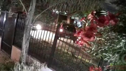 "Por favor te lo pido": la asaltaron, les suplicó a los ladrones y le dispararon