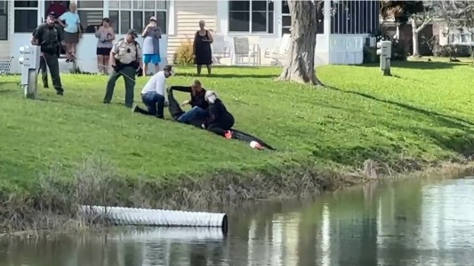 Florida: paseaba a su perro por el barrio y la mató un cocodrilo