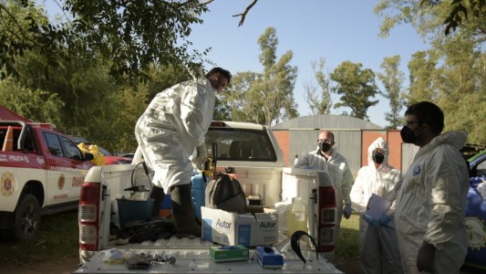 Se detectaron 4 nuevos casos de Influenza Aviar en Córdoba