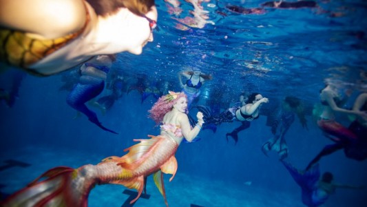 Convención de sirenas en Estados Unidos