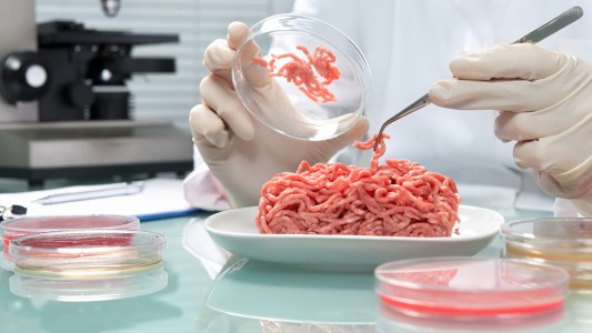 Italia aprobó un proyecto de ley que prohíbe la producción y venta de carne artificial