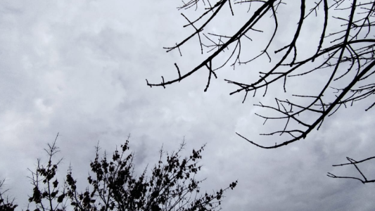 Llovizna y cielo mayormente nublado. Temperatura máxima de 24°