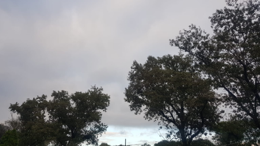 Cielo mayormente nublado. Temperatura máxima de 25°