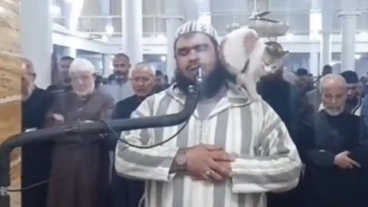 Un gato inoportuno: sorpresa en la oración de Ramadán - #FlashChat